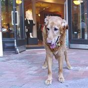 Ladies and gentlemen, here is the star of the show himself, WILEY!!!