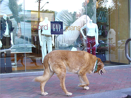 Nope, he's off to check out the new clothes at The Gap.