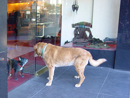 Wiley stops for a little catching up with his good friend.