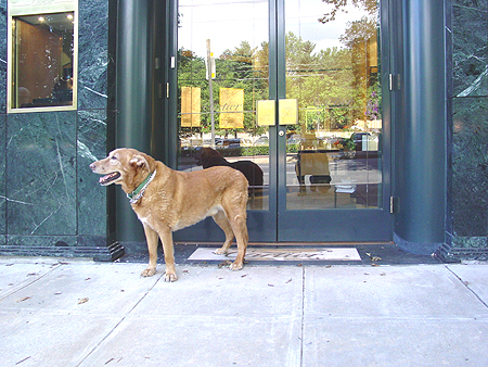 Wiley stops to try on a watch at Cartier Joailliers on 5454 Wisconsin Avenue.