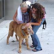 Good old Wiley!  Such a ladies dog.