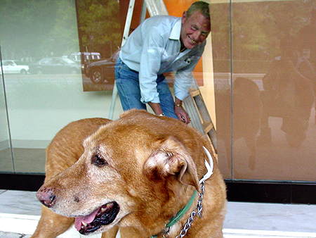 Wiley even has some friends in the window display business.