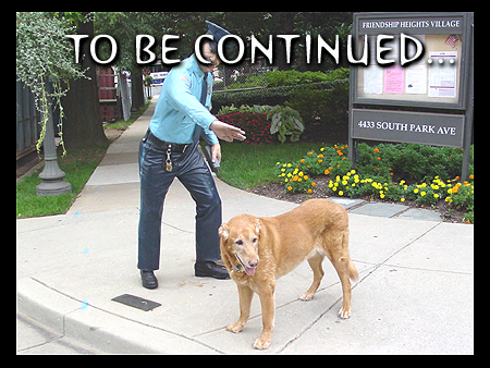 To be continued... Come on back to see what adventure, and places Wiley will go next.