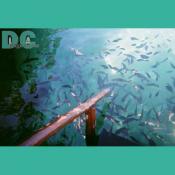 asdfg6-R1-16A