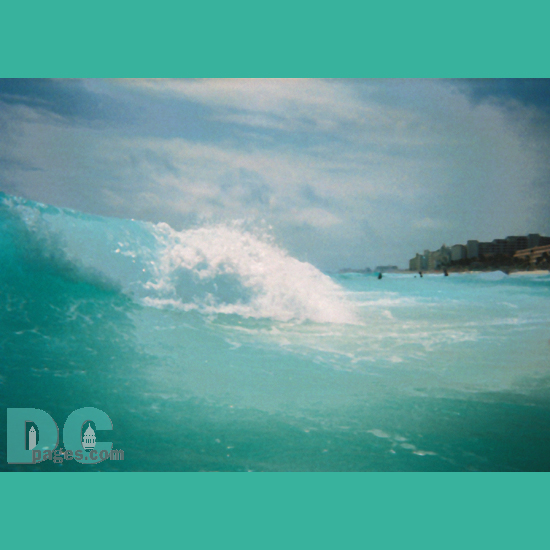 asdfg6-R1-19A