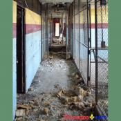 August 2, 2007 - Ninth Ward of New Orleans - 5300 Law Sreet, New Orleans, 70117, LA 504-942-3602 - Alfred Lawless High School - Locker Room