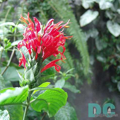 DSC03856