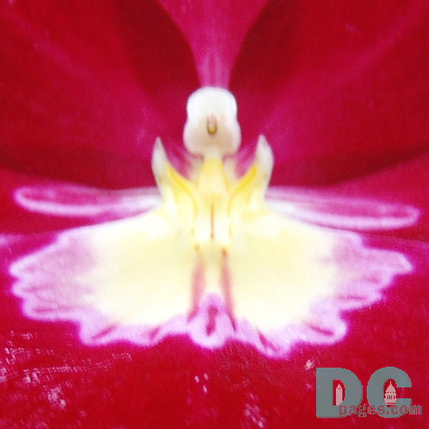 DSC03862