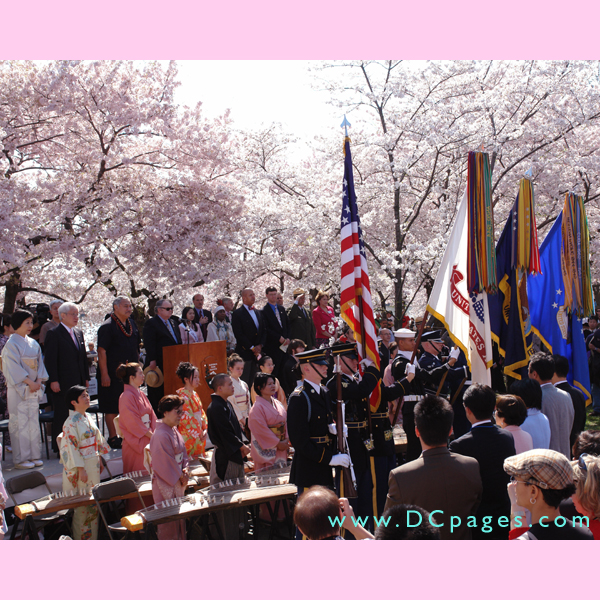 Joint Armed Forces Color Guard of the Military District of Washington display our National Flags with honor.