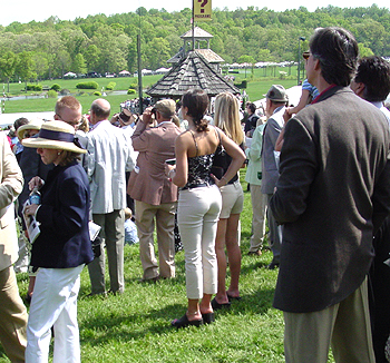 Steeplechase spectators