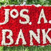 A Bank of Roses