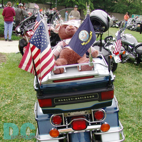Every year thousands of veterans and supporters make a pilgrimage to DC to pay there respects for the men and women who fought for our great nation.