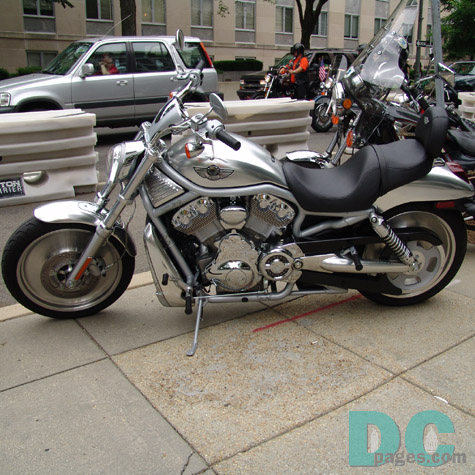 My personal favorite Harley, the V-Rod