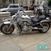 My personal favorite Harley, the V-Rod