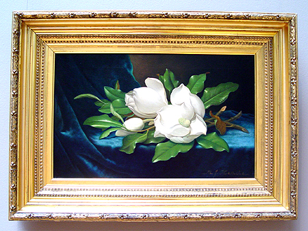 Martin Johnson Heade (American): Giant Magnolias on a Blue Velvet Cloth
