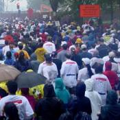 Umbrellas, hoods, and hats, anything to keep the head dry