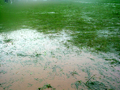 Rain, rain, and more rain created standing water all around the Washington Monument