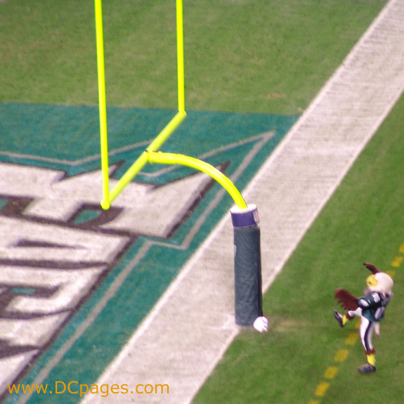 The Philadelphia Eagles mascot is an eagle named "Swoop."