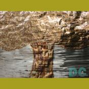Copper etching of a tree