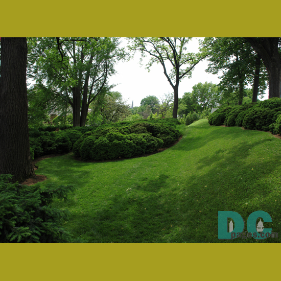 Lush green landscape.