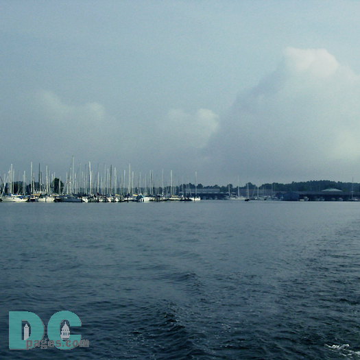 Looking back at the marina.
