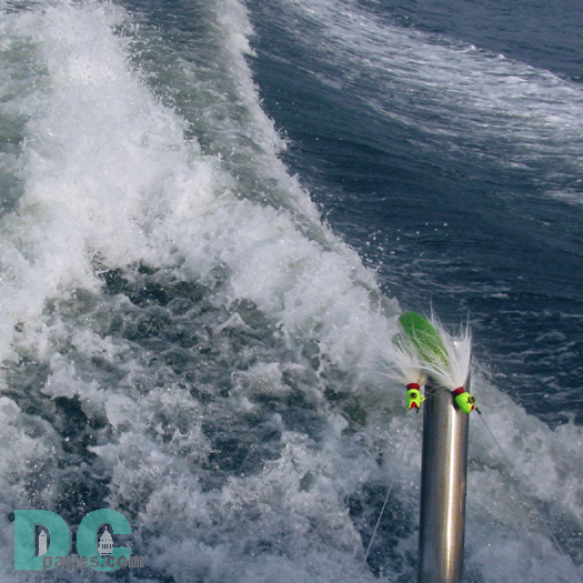 Fishing in the middle portions of the Chesapeake has focused around trolling and jigging for striped bass.