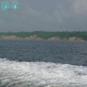 The cliffs which dominate the shoreline of the Chesapeake Bay for thirty miles in Calvert County, were formed over 15 million years ago when all of Southern Maryland was covered by a warm, shallow sea. Over 600 species of fossils have been identified from these cliffs, with the teeth of various species of shark as the most abundant fossils.