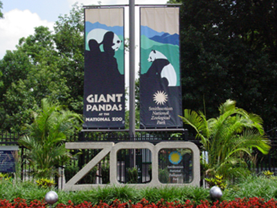 About 2,800 animals and 435 different species currently make up the zoo's collection of animals.