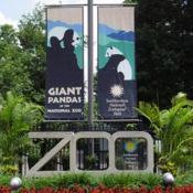 About 2,800 animals and 435 different species currently make up the zoo's collection of animals.