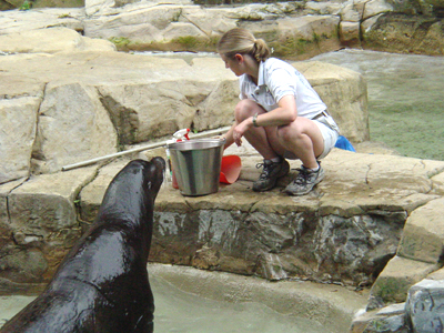 Norman was wild-born in May 1977 and orphaned as a pup. NZP acquired him from Marineland in California on October 12, 1978.

