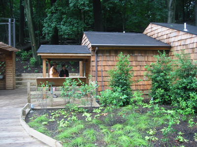 This past 4th of July, the National Zoo celebrated the opening of a new bird exhibitThe Bald Eagle Refuge.   
