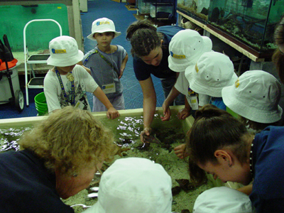 Some of these urchins are pretty scary looking.