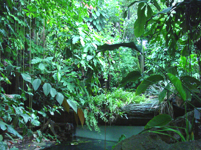 The Amazon River, according to many accounts, was named by Spanish explorer Francisco de Orellana in 1541.