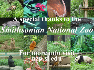 ZooLastPage1.jpg
