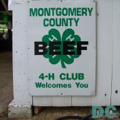 Through the 4-H beef project you are given the opportunity to learn about taking care of an animal, working with other young people, and developing sound judgment skills. When beginning with any new project or activity it is a learning experience for all involved. More knowledge is gained by taking part than by watching others. 