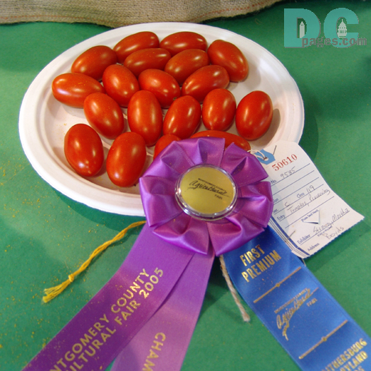 A winning display of Roma tomotoes.