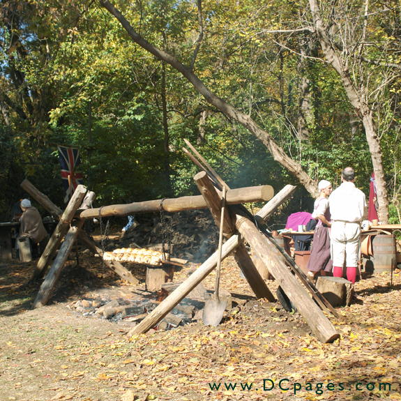 Savory chicken roasts on an open flame pit.