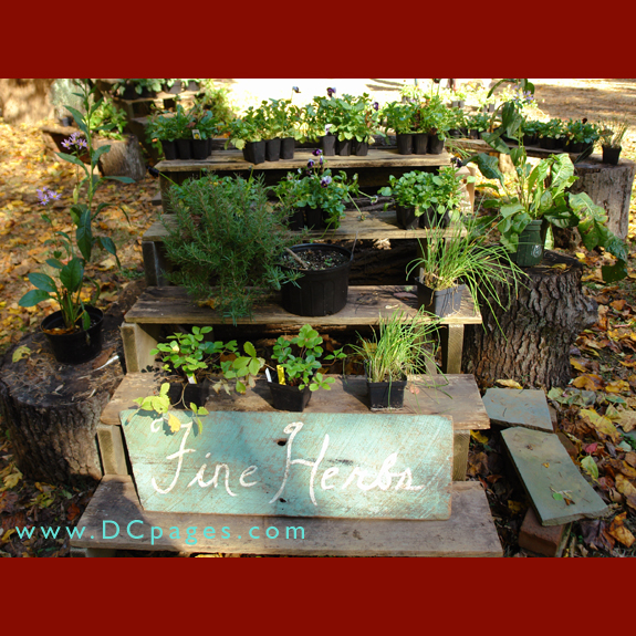 Horticulture Manager, Debbie West has done a fine job growing plants for the farm.