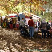 View of the Market fair.