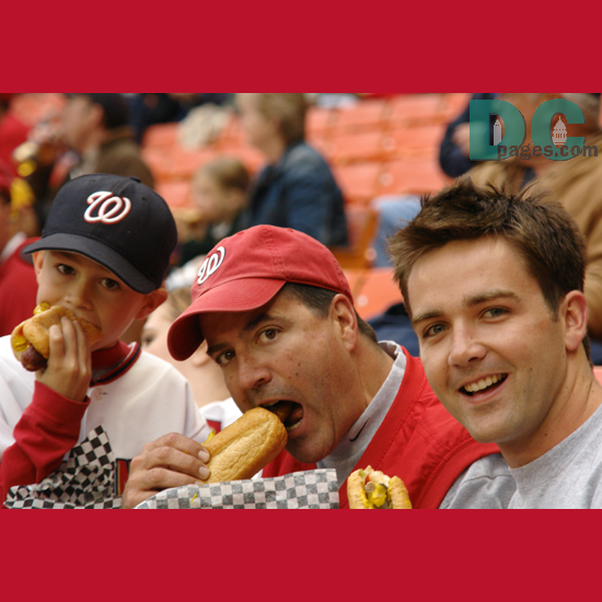 No baseball game is complete until you've downed a couple dogs.