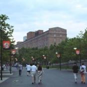 Walking up to the stadium