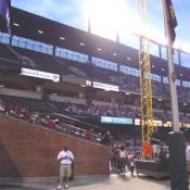 The stadium