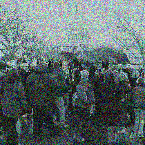 Artistic Photo - Inauguration Spectators