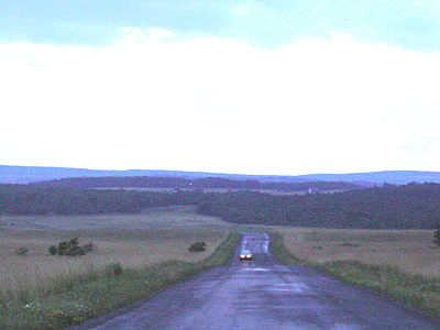 The road to the crash site.