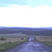 The road to the crash site.