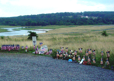 This area had recently been a strip mine.