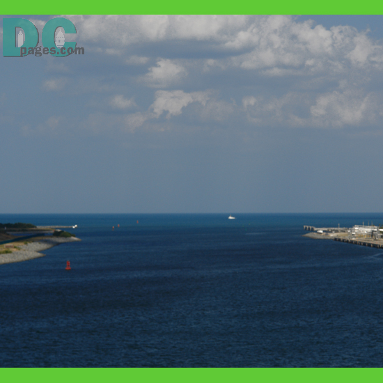 DSC01445