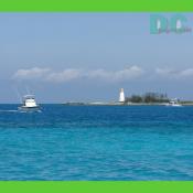 DSC01608