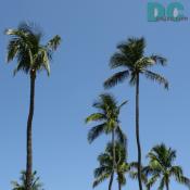 DSC01609