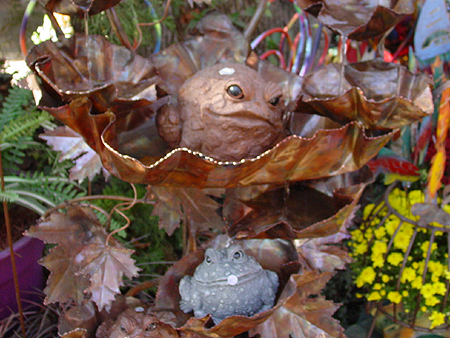 Frogs or Fiends?  